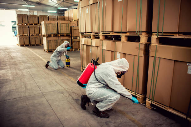 Best Termite Control Services  in Hidden Hills, CA