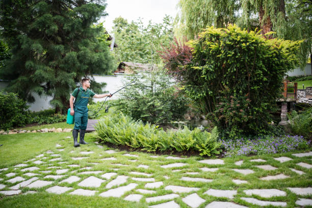 Best Bed Bug Extermination  in Hidden Hills, CA