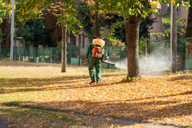 Best Pest Prevention Services  in Hidden Hills, CA